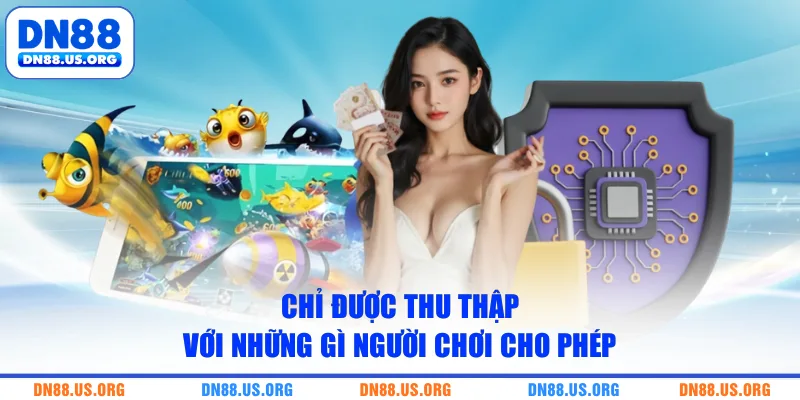 Chỉ được thu thập với những gì người chơi cho phép