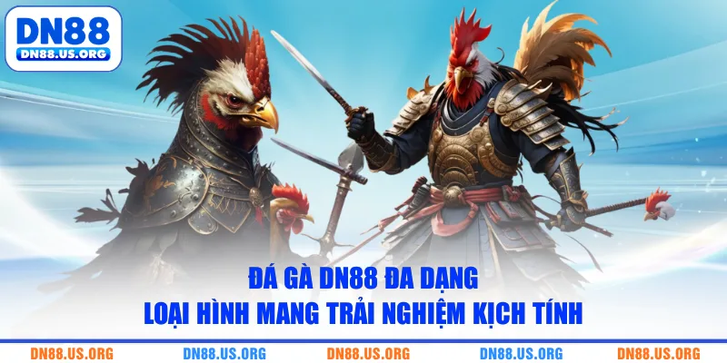 Đá gà DN88 đa dạng loại hình mang trải nghiệm kịch tính