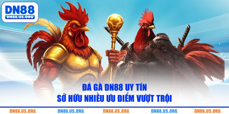 Đá gà DN88 uy tín sở hữu nhiều ưu điểm vượt trội