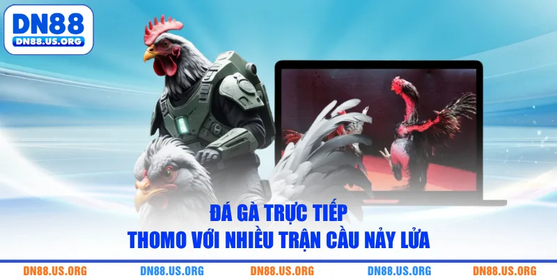 Đá gà trực tiếp thomo với nhiều trận cầu nảy lửa