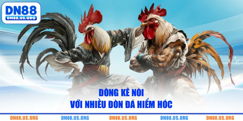 Dòng kê nòi với nhiều đòn đá hiểm hóc