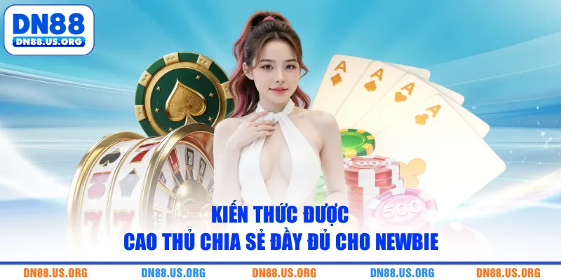 Kiến thức được cao thủ chia sẻ đầy đủ cho newbie