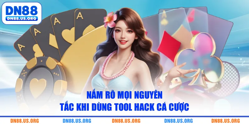 Nắm rõ mọi nguyên tắc khi dùng tool hack cá cược
