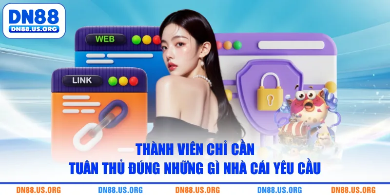 Thành viên chỉ cần tuân thủ đúng những gì nhà cái yêu cầu