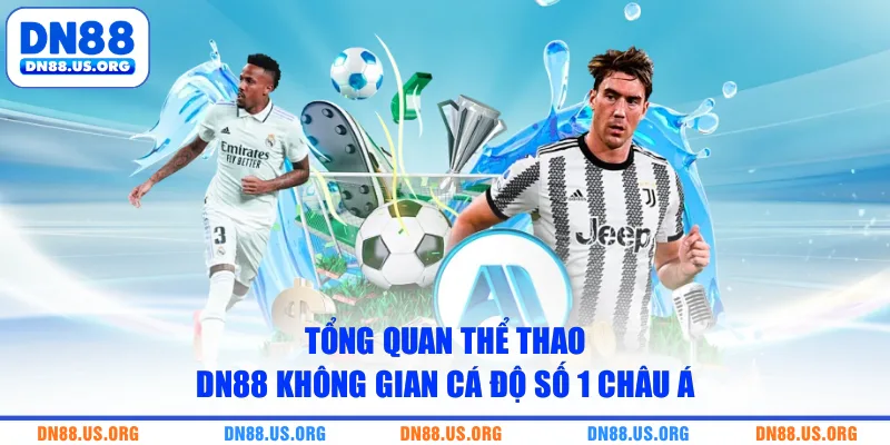 Tổng quan thể thao DN88 không gian cá độ số 1 châu Á