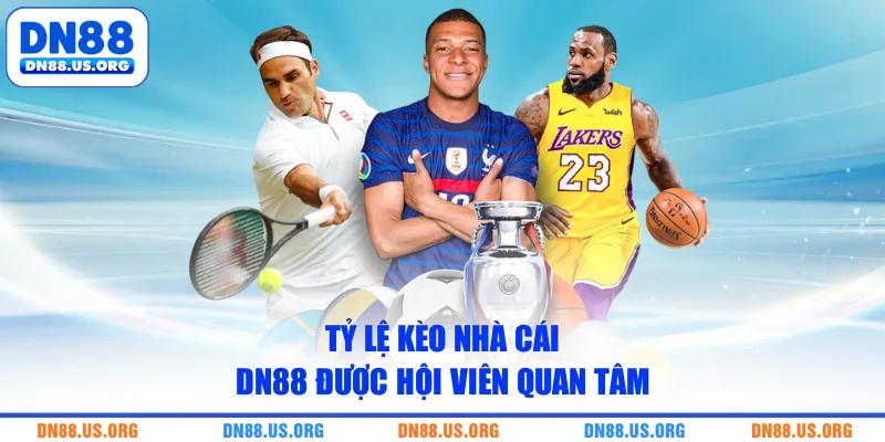 Tỷ lệ kèo nhà cái DN88 được hội viên quan tâm